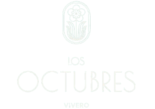 logoviveroalterna-removebg-preview